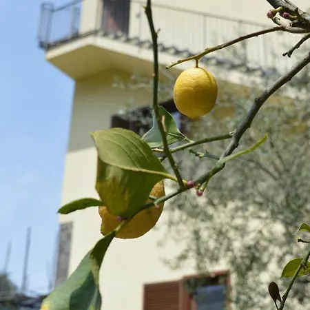 Il Rivolo Oda ve Kahvaltı