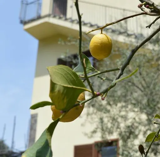 Il Rivolo Bed & Breakfast